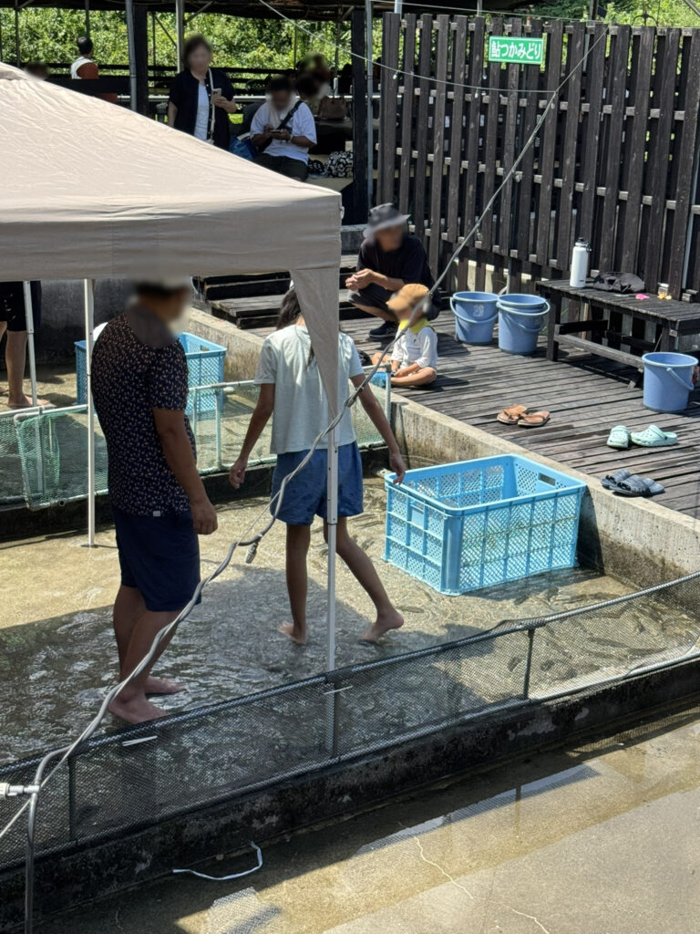 「鮎の里　鳳翩屋」アユのつかみ取り写真