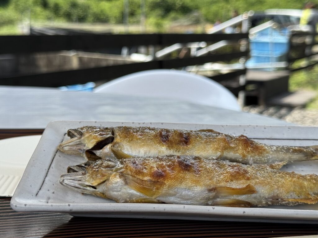 「鮎の里　鳳翩屋」アユの塩焼きの写真