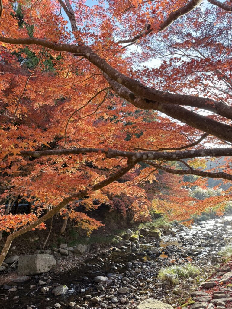 トップ写真。紅葉と川の写真。